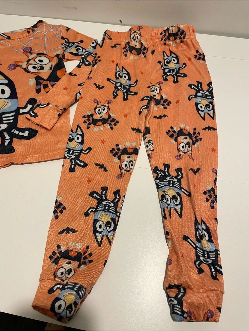 Bluey brand toddler